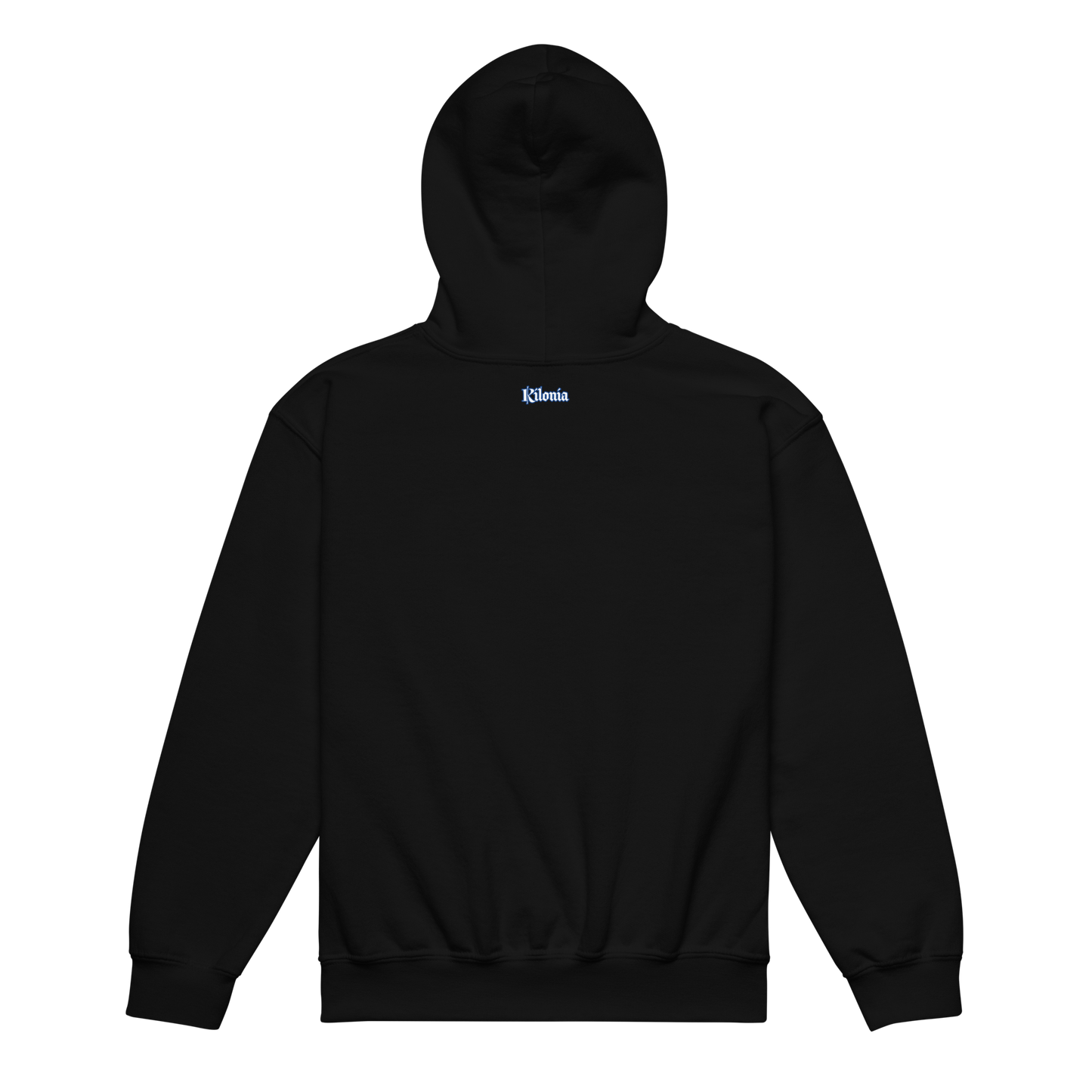 Heavy blend hoodie for the young children