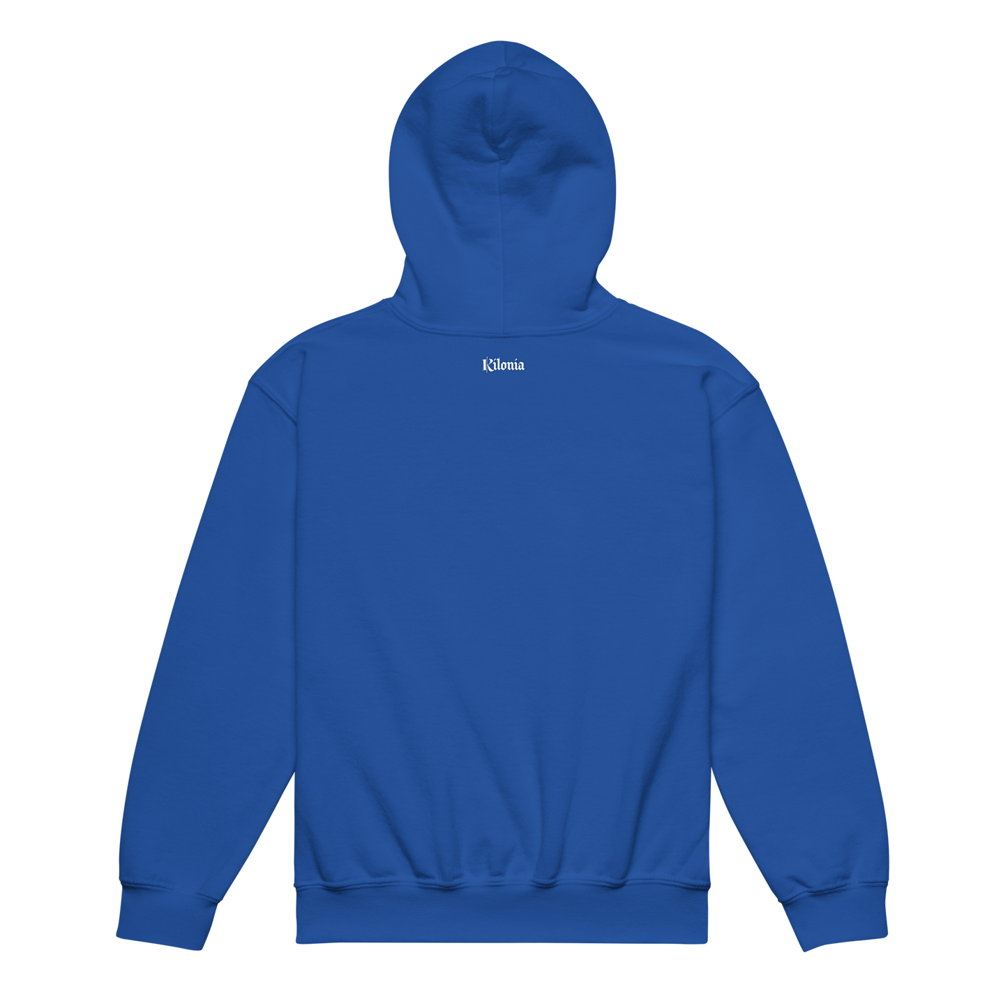 Heavy blend hoodie for the young children