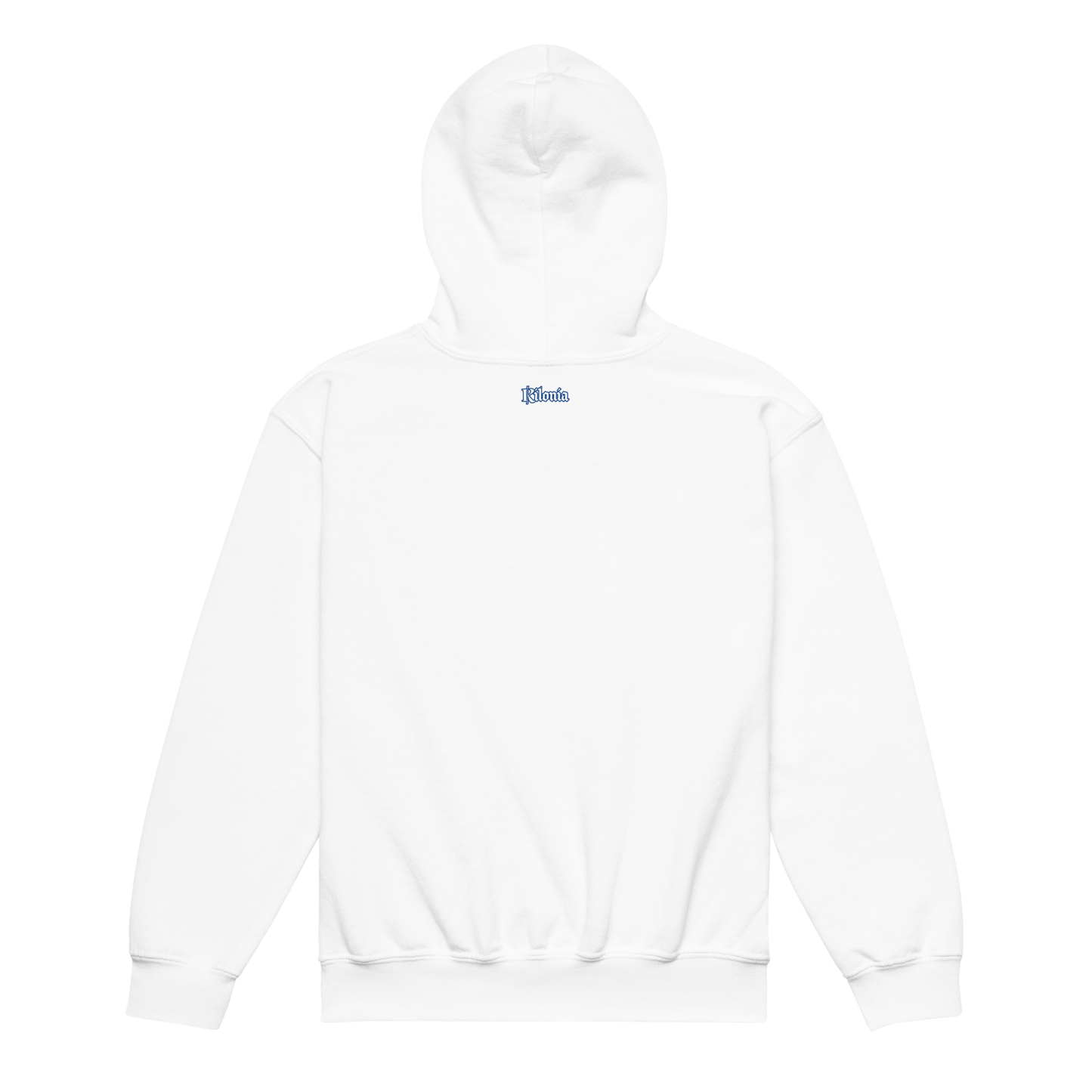 Heavy blend hoodie for the young children